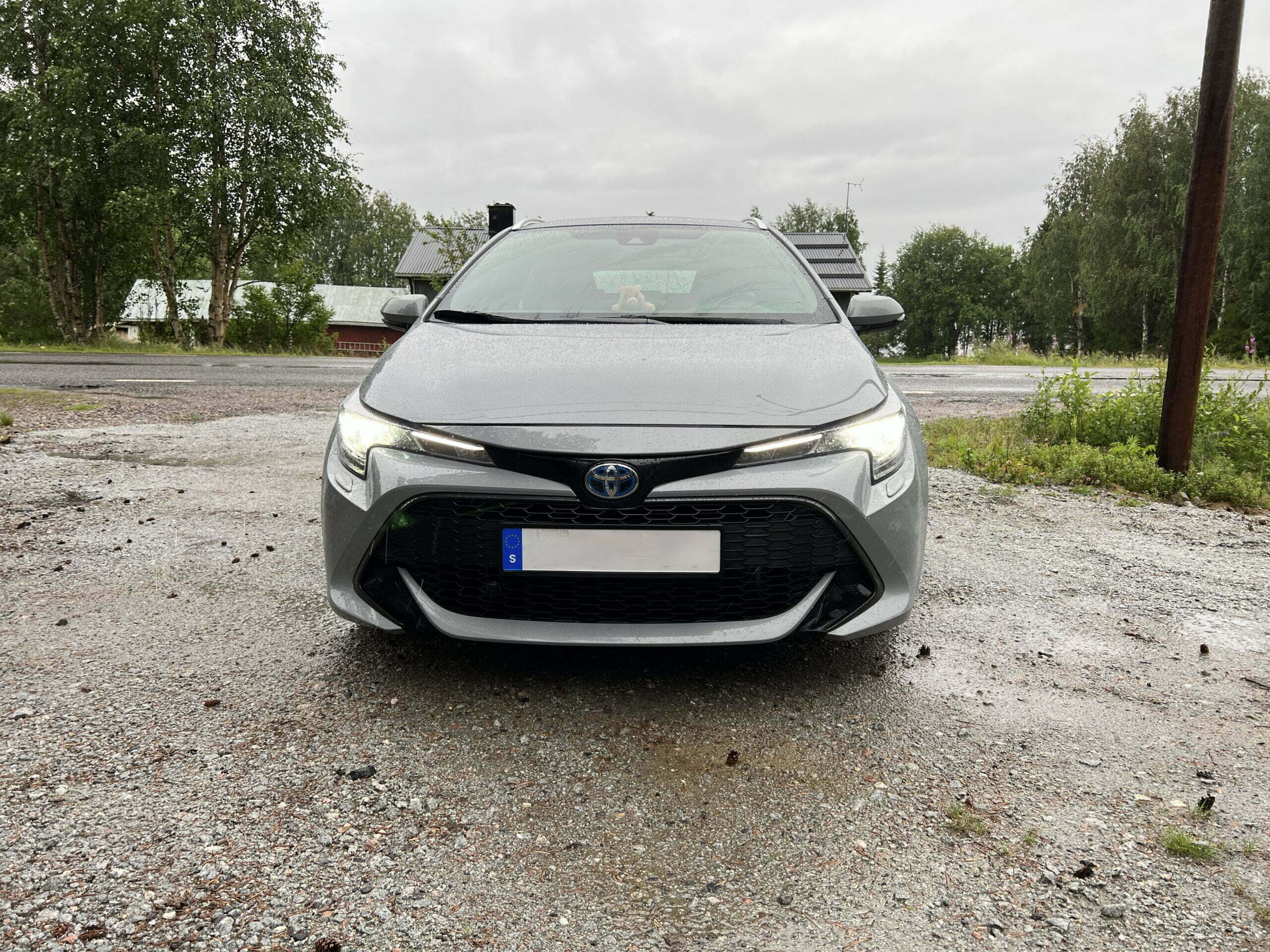 Hybrid på vintern