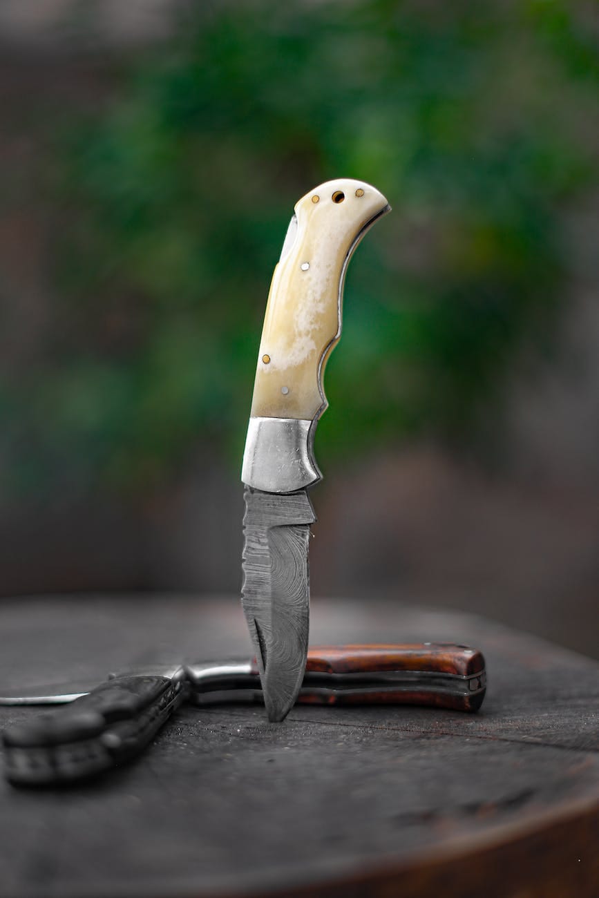 “Fällkniv för bushcraft?”