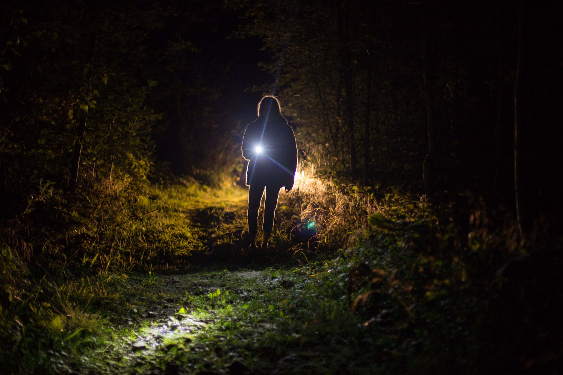 person holding flashlight during nighttime