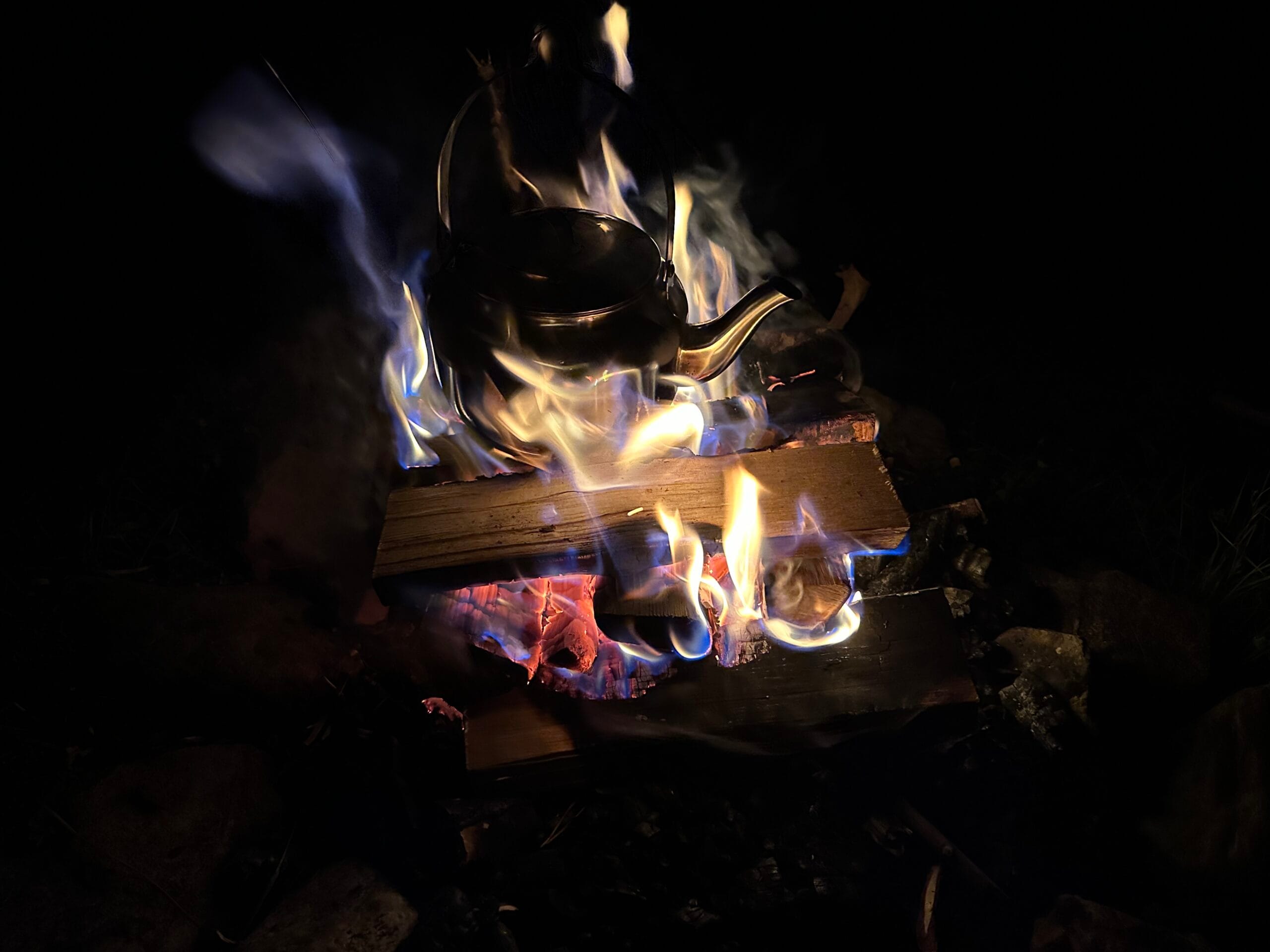 Midnattsgrill i skogen