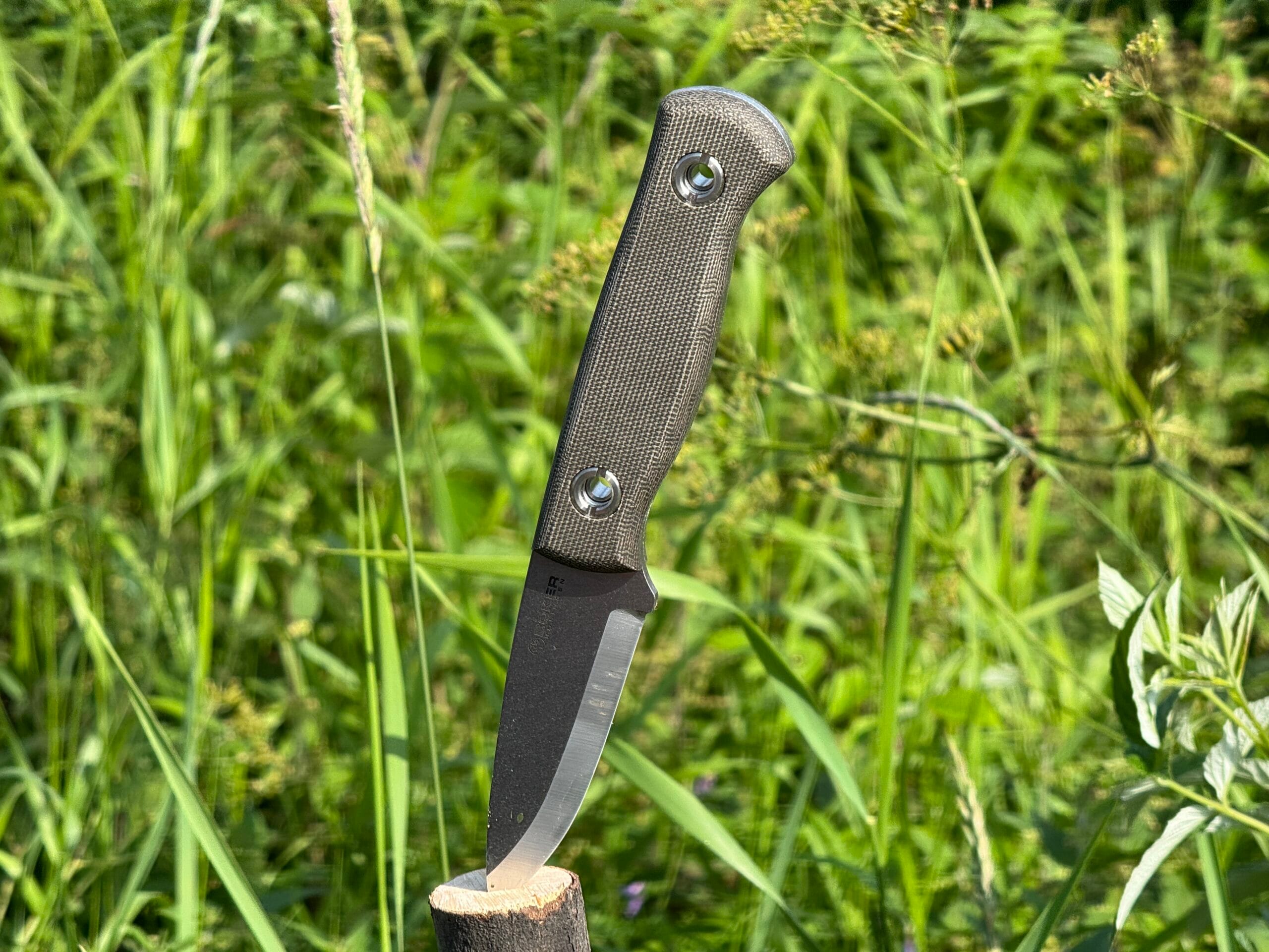 Vigtig vs Wild – En sak jag inte gillar!