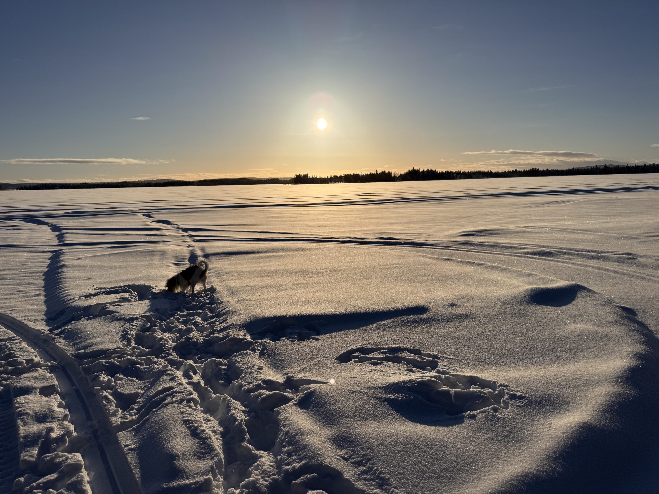 Marsväder – På jorden!